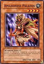 Paladina Amazoness - Magician's Force (Common) [MFC-059]