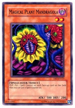 Mandragola Pianta Magica - Dark Revelation 1 (Common) [DR1-127]