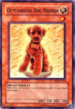 Marron Cane Fantastico - Dark Revelation 1 (Common) [DR1-224]