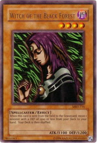 Strega della Foresta Nera - Starter Deck: Kaiba Evolution (Common) [SKE-020]