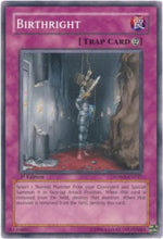 Diritto di Nascita - Structure Deck: Warrior's Strike (Common) [SDWS-037]