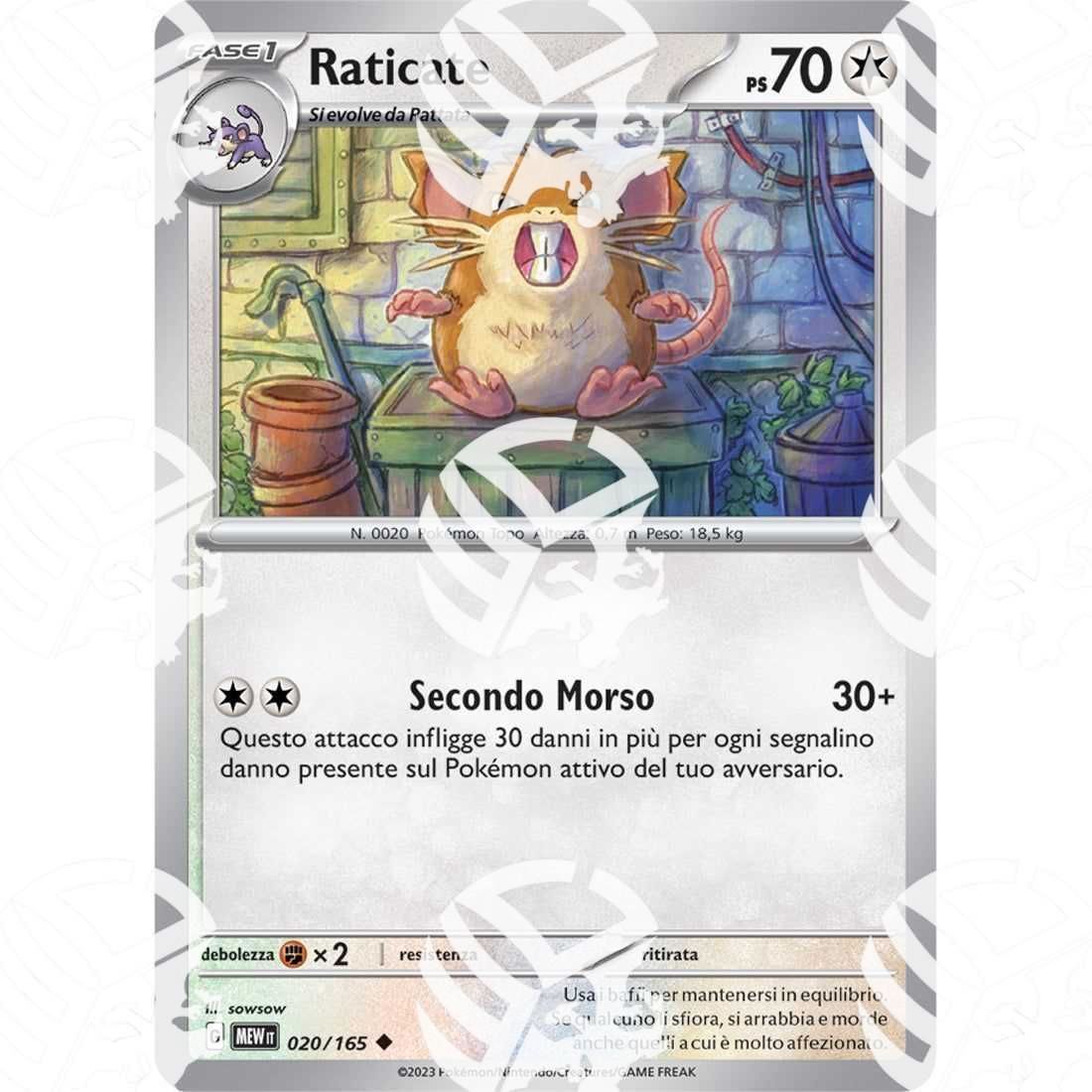 151 - Raticate - 020/165 - Warcard - 151 - Raticate - 020/165 i prezzi più bassi sul mercato, solo da www.warcardshop.com! Carte singole, box, buste e mazzi.