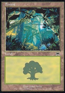 Foresta - Assalto (Land) [ONS-347]