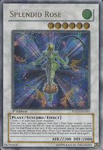 Rosa Splendida - The Shining Darkness (Ultimate Rare) [TSHD-043]