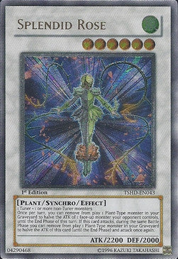 Rosa Splendida - The Shining Darkness (Ultimate Rare) [TSHD-043]