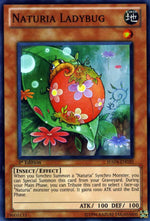 Naturia Coccinella - Hidden Arsenal 4 (Super Rare) [HA04-020]