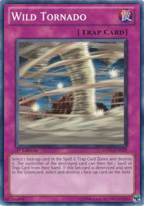 Tornado Selvaggio - Starter Deck: Duelist Toolbox (Common) [5DS3-029]