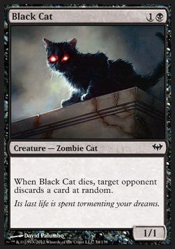 Gatto Nero - Dark Ascension (Common) [DKA-54]