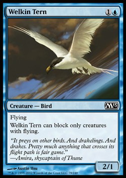 Sterna del Cielo - Magic 2013 (Common) [M13-79]