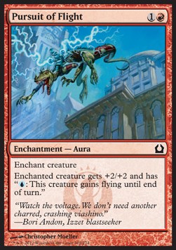 Ricerca del Volo - Return to Ravnica (Common) [RTR-102]