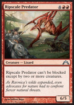 Predatore Strappascaglia - Gatecrash (Uncommon) [GTC-103]