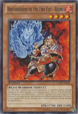 Fratellanza del Pugno di Fuoco - Rinoceronte - Lord of the Tachyon Galaxy (Rare) [LTGY-028]