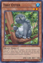 Lontra degli Alberi - Battle Pack 3: Monster League (Common) [BP03-062]