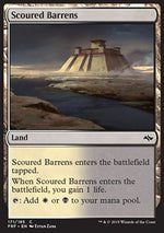 Distese Desolate - Fate Reforged (Common) [FRF-171]