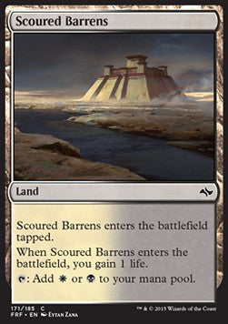 Distese Desolate - Fate Reforged (Common) [FRF-171]