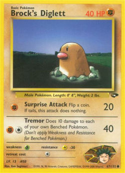 Brock's Diglett - Gym Challenge (Common) [GC-67]