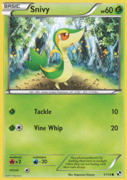 Snivy - Nero e Bianco (Common) [BLW-1]