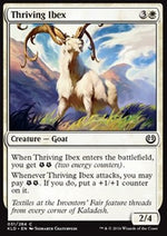 Stambecco Vigoroso - Kaladesh (Common) [KLD-31]