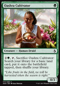 Coltivatrice di Oashra - Amonkhet (Common) [AKH-177]