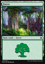 Foresta - Ixalan (Land) [XLN-279]