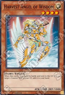 Angelo Mietiore della Saggezza - Structure Deck: Wave of Light (Common) [SR05-007]