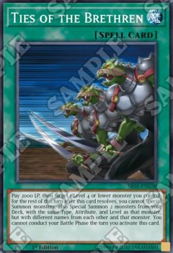 Legami dei Compagni - Structure Deck: Wave of Light (Common) [SR05-030]