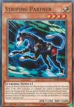 Compagno Striping - Extreme Force (Common) [EXFO-003]