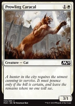 Lince in Agguato - Set base 2020: Extras (Common) [XM20-309]