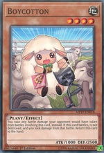 Boicottone - 2019 Gold Sarcophagus Tin Mega Pack (Common) [MP19-018]