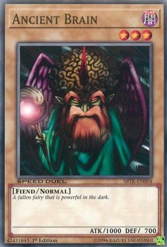 Antico Cervello - Speed Duel: Trials of the Kingdom (Common) [SBTK-004]