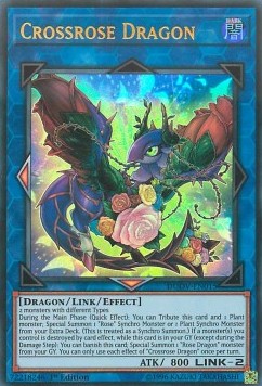 Drago Rosaincrocio - Duel Overload (Ultra Rare) [DUOV-015]