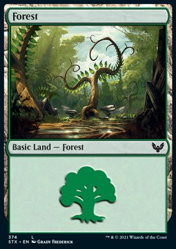 Foresta - Strixhaven: Scuola dei Maghi: Extras (Land) [XSTX-374]