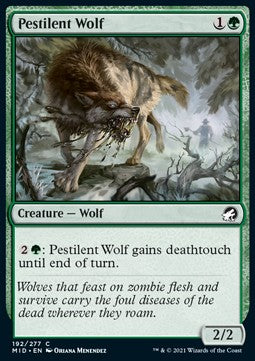 Lupo Pestilenziale - Innistrad: Caccia di Mezzanotte (Common) [MID-192]