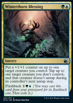 Benedizione dell'Invernospino - Innistrad: Caccia di Mezzanotte (Uncommon) [MID-251]
