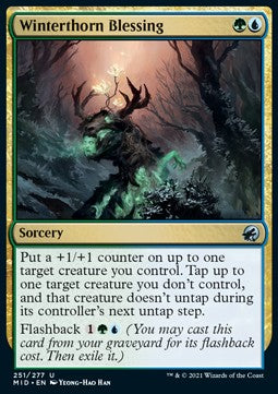 Benedizione dell'Invernospino - Innistrad: Caccia di Mezzanotte (Uncommon) [MID-251]