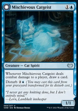 Feligeist Dispettoso // Curiosità Felina - Innistrad: Promessa Cremisi (Uncommon) [VOW-69]