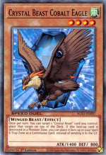 Bestia Cristallo Aquila Cobalto - Speed Duel GX: Cofanetto Accademia del Duellante (Common) [SGX1-F07]