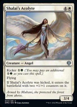 Accolita di Shalai - Dominaria Unita (Uncommon) [DMU-33]