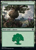 Foresta - Dominaria Unita (Land) [DMU-275]