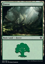 Foresta - Dominaria Unita (Land) [DMU-276]