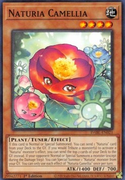 Naturia Camelia - Darkwing Blast (Common) [DABL-021]