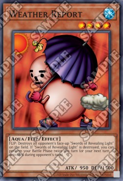 Previsioni Meteo - Spell Ruler (25th Anniversary Edition) (Common) [SRL-25TH-020]