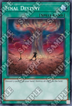 Destino Finale - Spell Ruler (25th Anniversary Edition) (Common) [SRL-25TH-035]