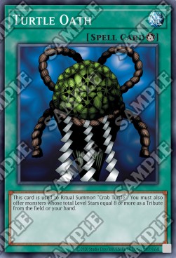Giuramento della Tartaruga - Spell Ruler (25th Anniversary Edition) (Common) [SRL-25TH-066]