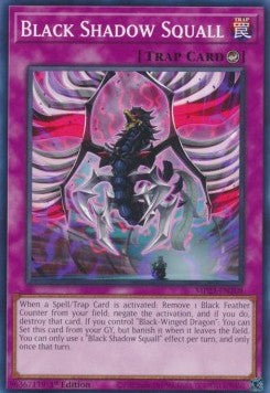 Burrasca Ombra Nera - 25th Anniversary Tin: Dueling Heroes Mega Pack (Common) [MP23-208]