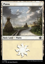Pianura - Le Caverne Perdute di Ixalan: Extras (Land) [XLCI-394]