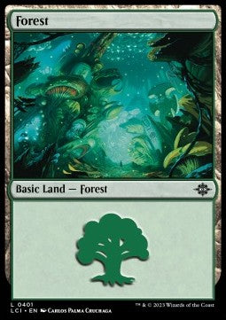 Foresta - Le Caverne Perdute di Ixalan: Extras (Land) [XLCI-401]