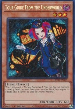 Guida Tour del Mondo Sotterraneo - 25th Anniversary Rarity Collection (Secret Rare) [RA01-005]
