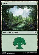Foresta - Delitti al Maniero Karlov (Land) [MKM-285]