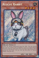 Coniglio da Soccorso - Collezione Rarità 25° Anniversario II (Secret Rare) [RA02-008]